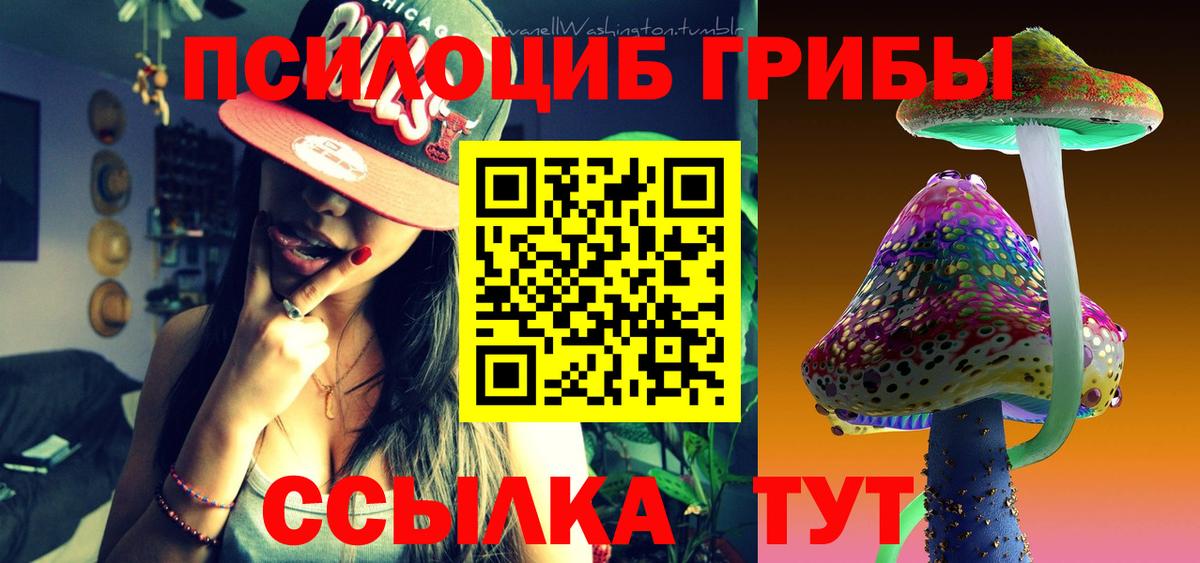 Соль-Илецк  Псилоцибиновые грибы Psilocybe  Галлюциногенные грибы прущие грибы  Вход с VPN 