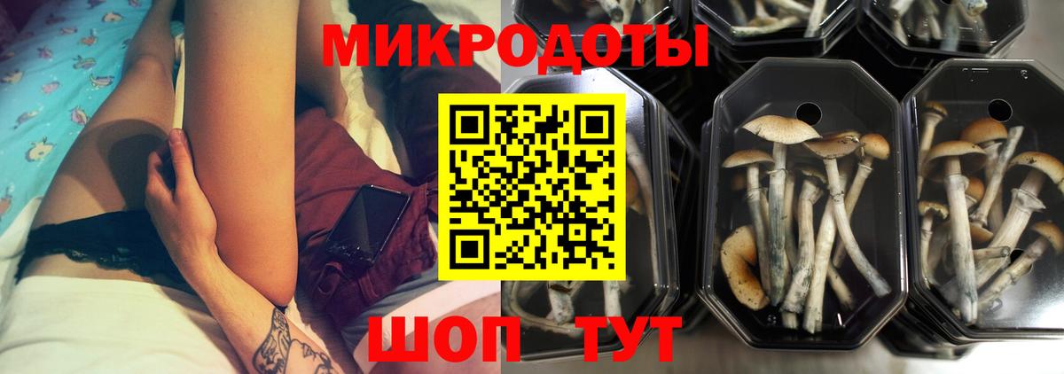 Псилоцибиновые грибы Cubensis Соль-Илецк